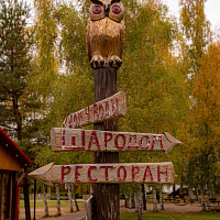 Декоративные элементы благоустройства территории Указатель