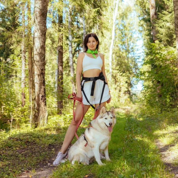 Прогулки с хаски